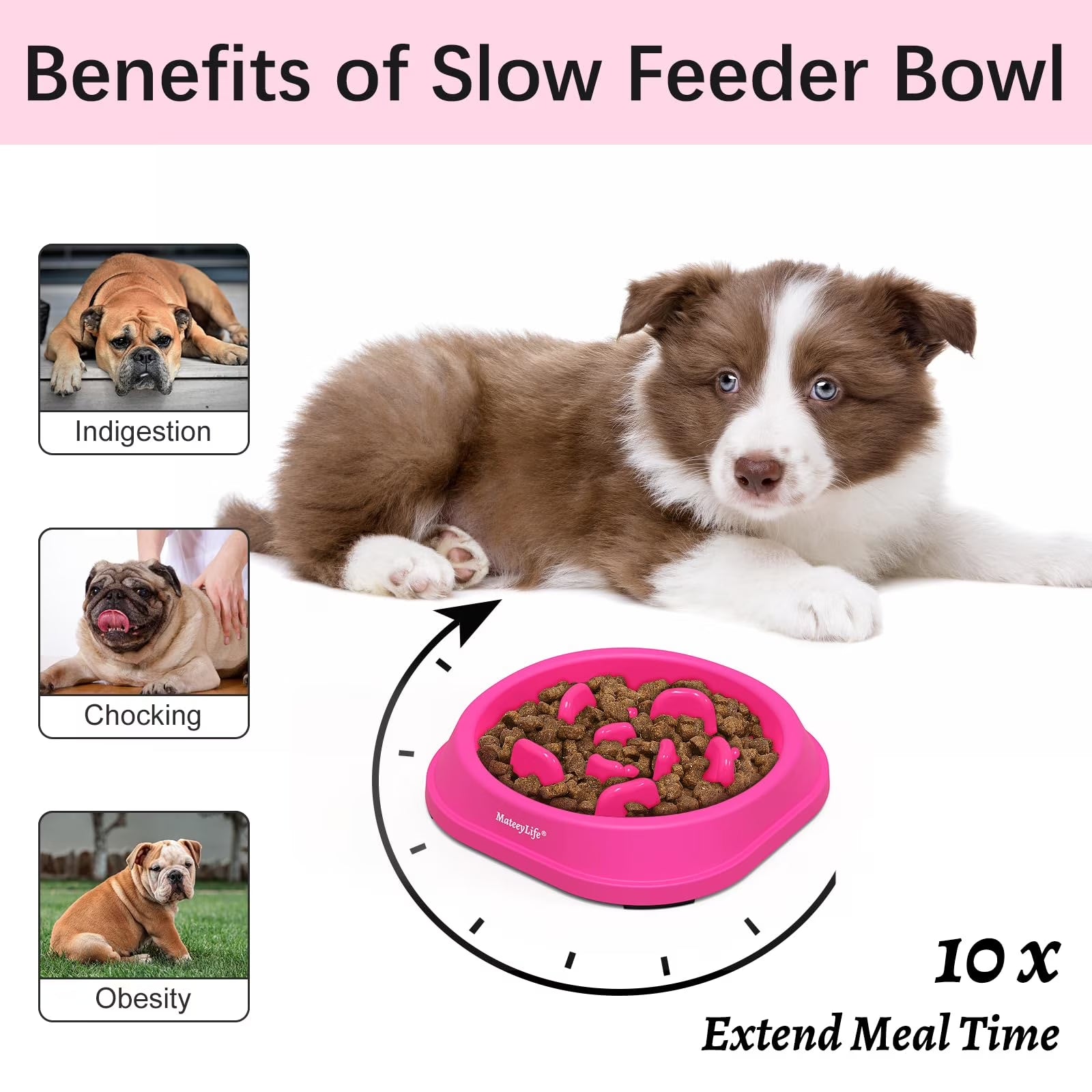 Slow Feeder Dog Bowls, Non Slip Cat Food Bowls, Bloat Stop Maze Pet Dishes, Interactive Feeder for Small Breeds 1 Cup Purple