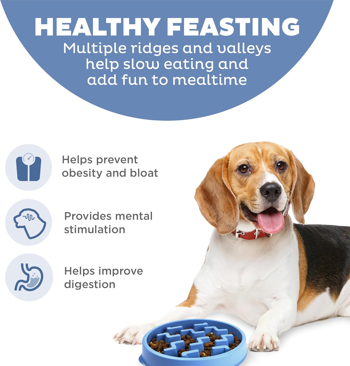 Outward Hound - Slow Pet Feeder Bowl