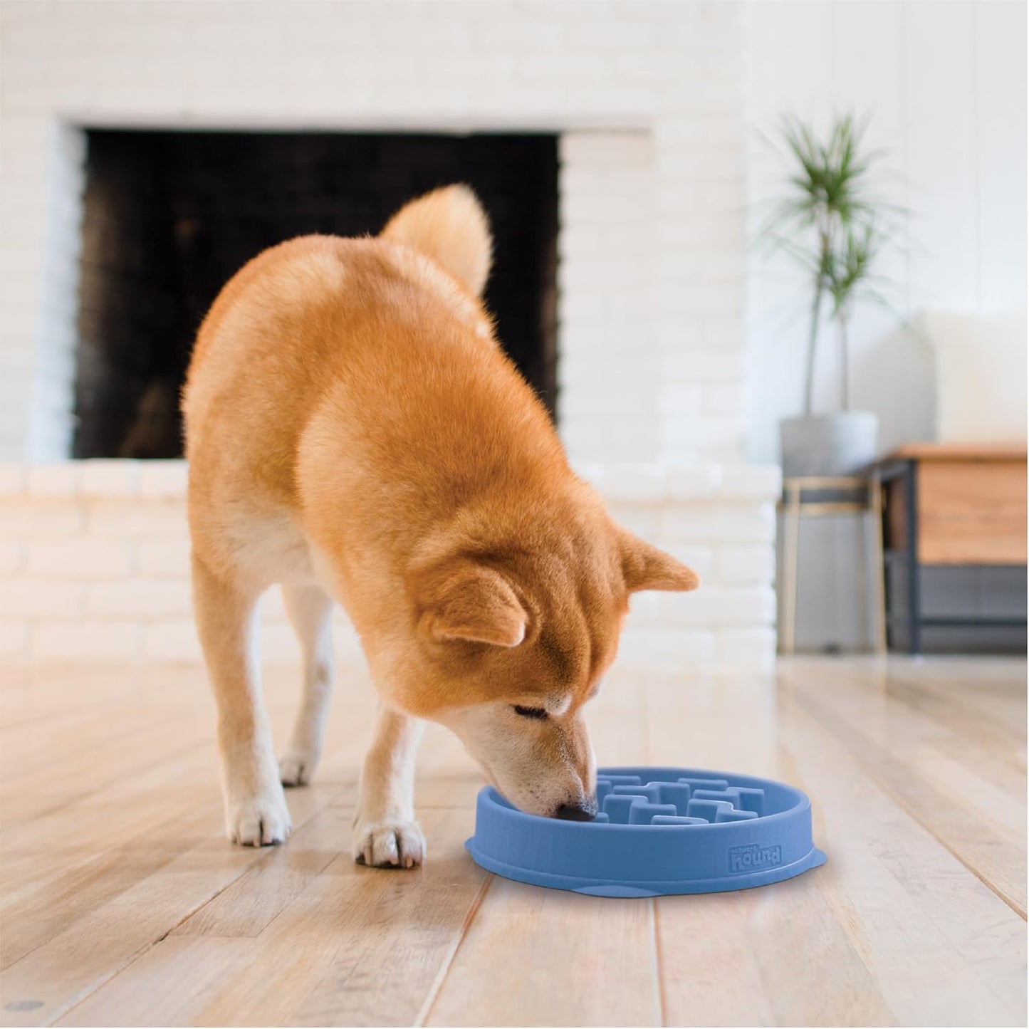 Outward Hound - Slow Pet Feeder Bowl